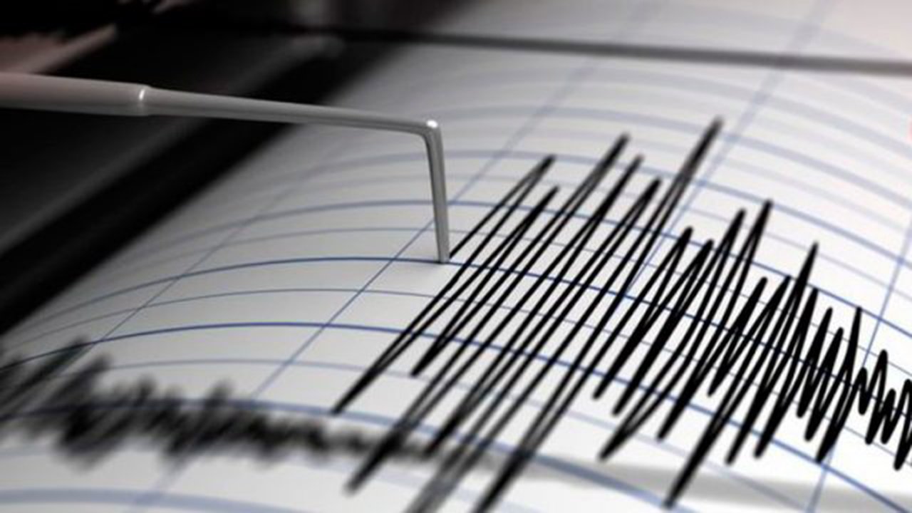 Tecomán y Colima temblaron: sismos de magnitudes 3.8 y 3 se registran sin consecuencias significativas